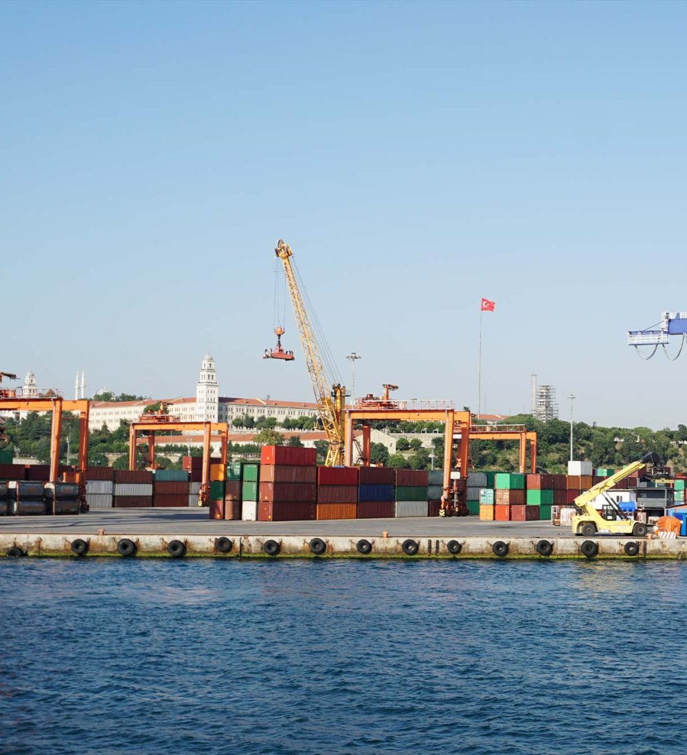 Cargo-Survey-4